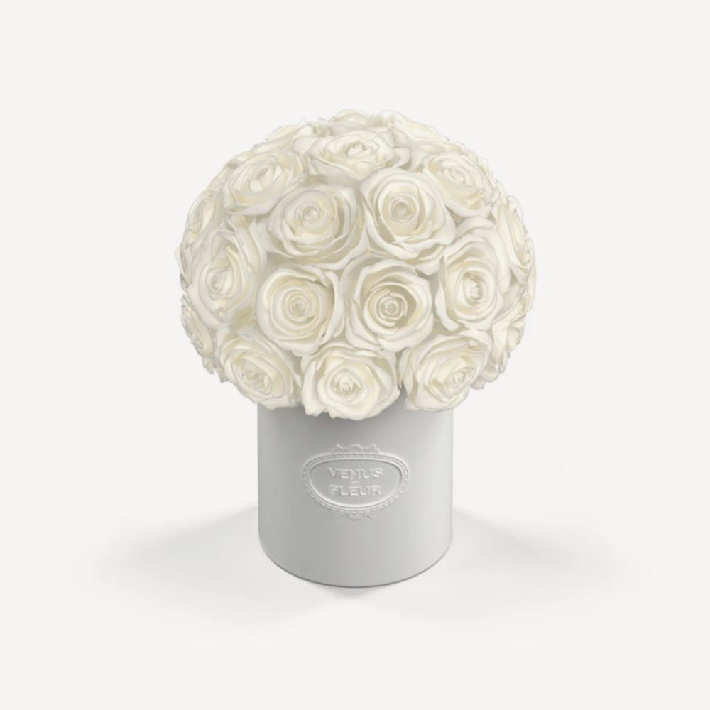 Venus Et Fleur FLEURA PORCELAIN VASE pure white roses